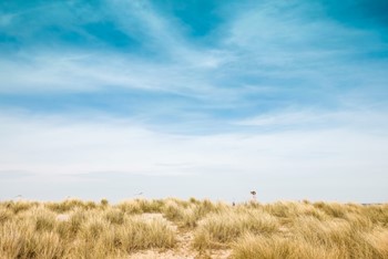 Copenhagen beach