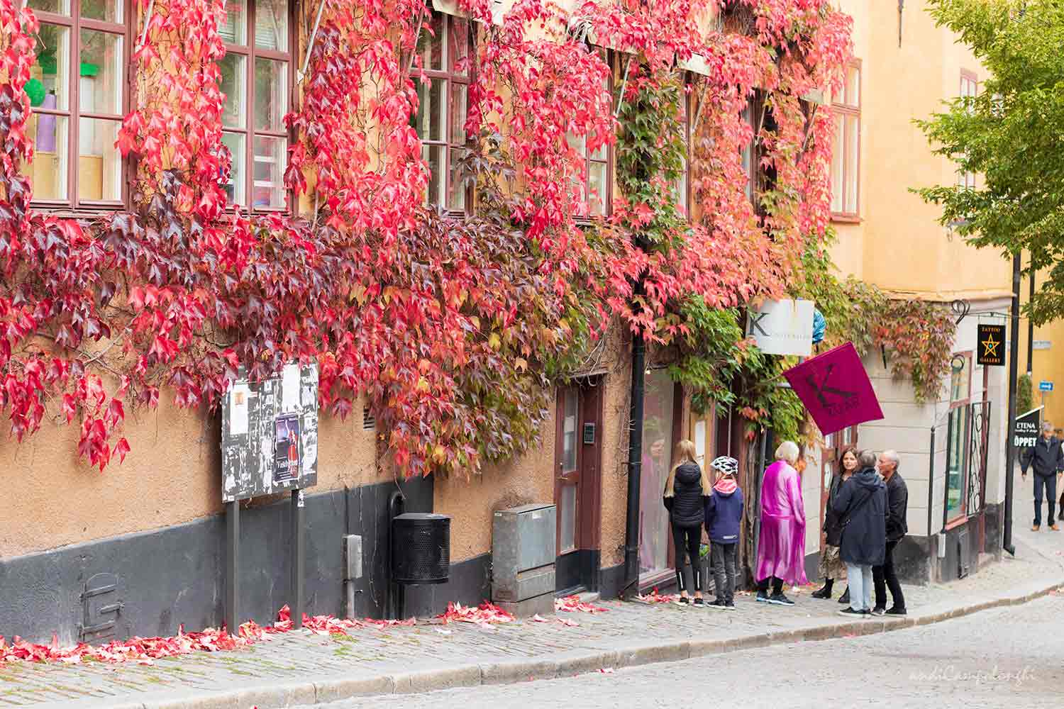 Gamla Stan In Autumn