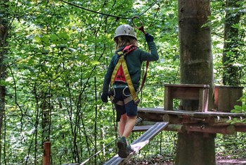 Ziplining from tree to tree