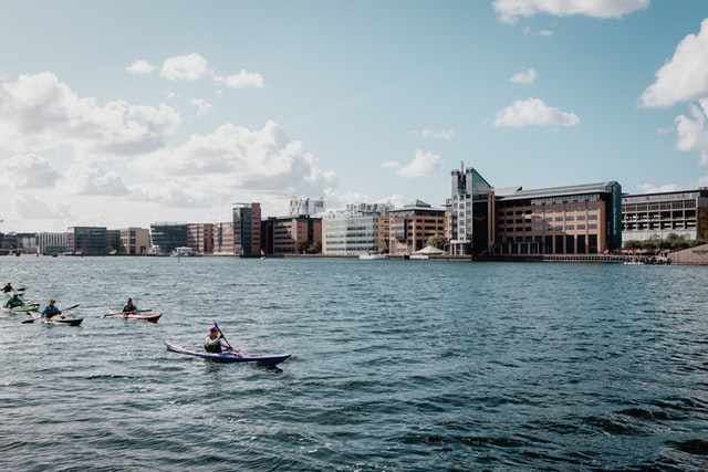 Kayakers In Copenhagen